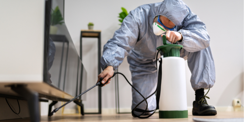 Do I Need a Termite Bond When Selling My House In Maryland