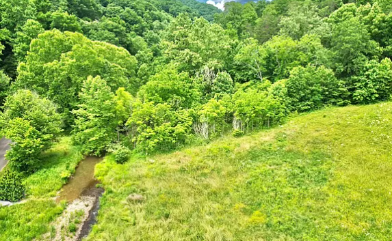 land pigeon forge tn