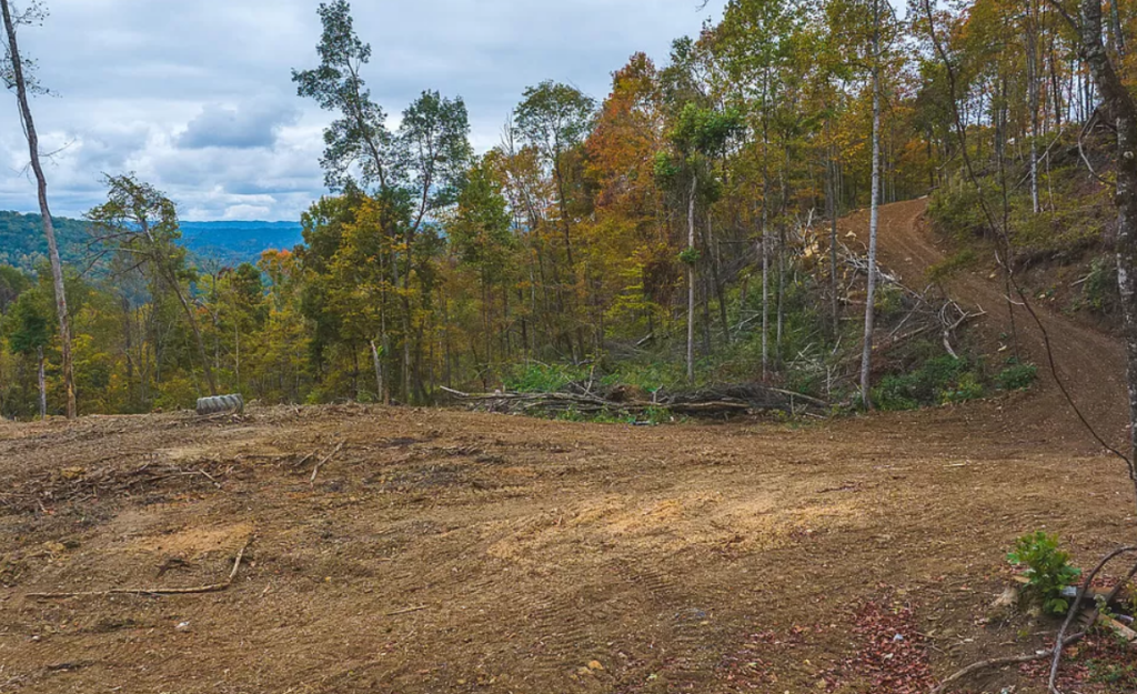 land rogersville tn