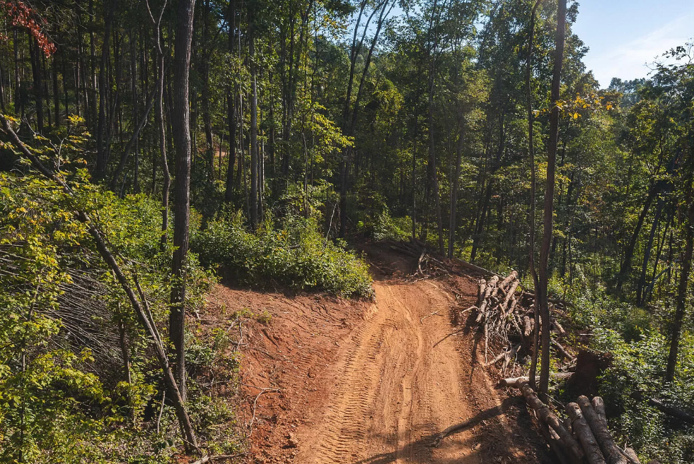 vacant land tennessee with road
