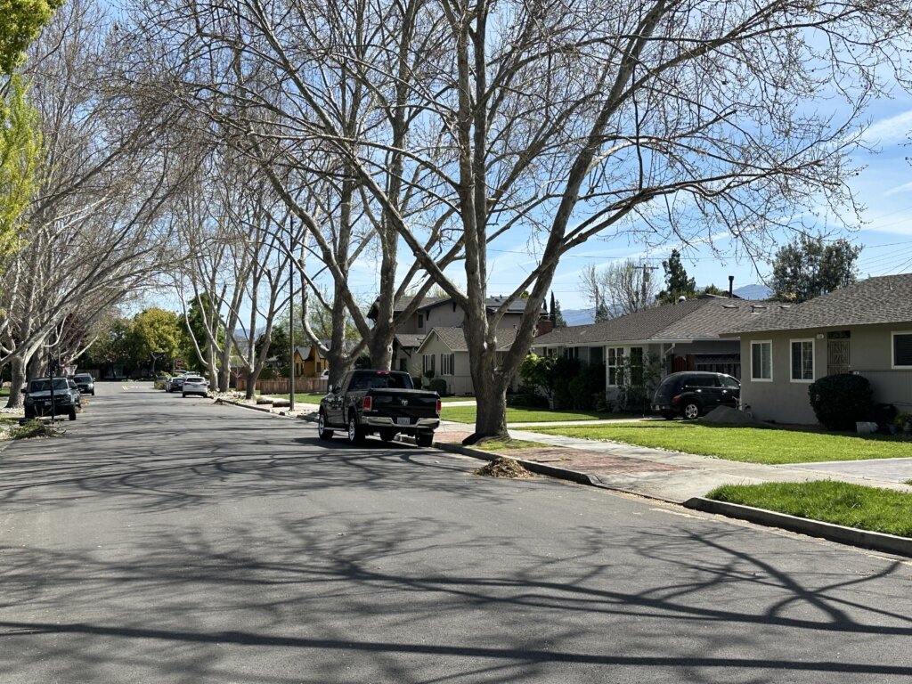 Houses on a tree-lined street in Willow Glen neighborhood of San Jose CA