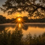 do all heirs have to agree to sell property