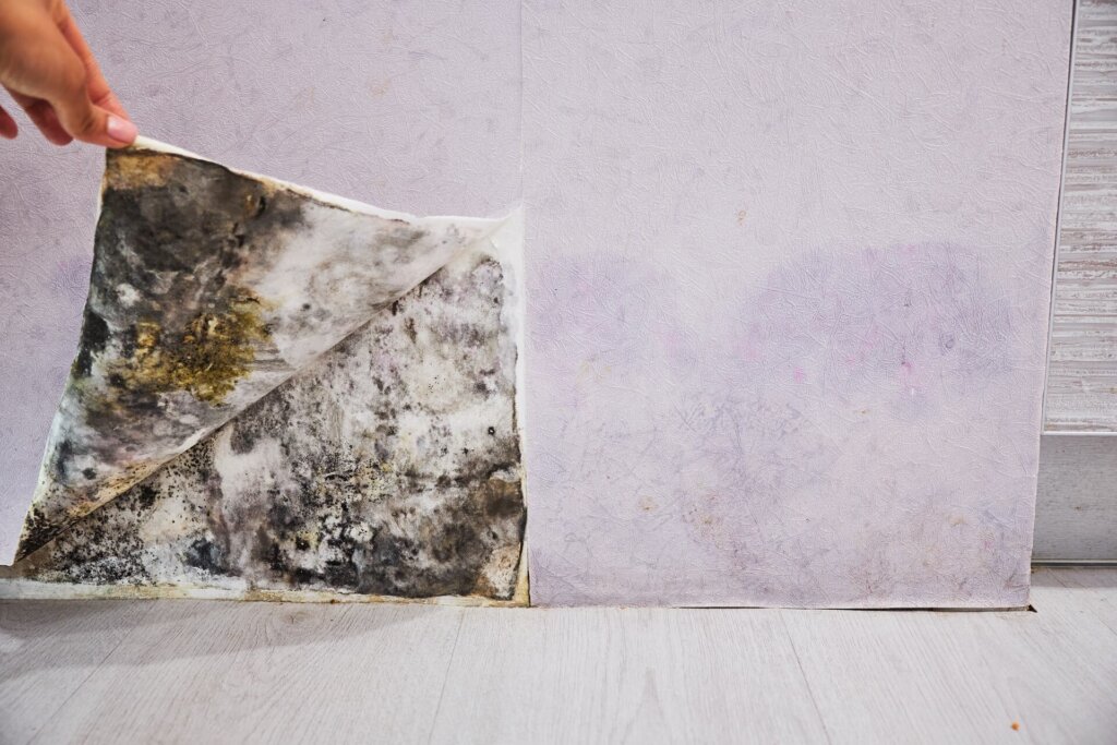 Buffalo, NY homeowner inspecting mold damage before selling a house