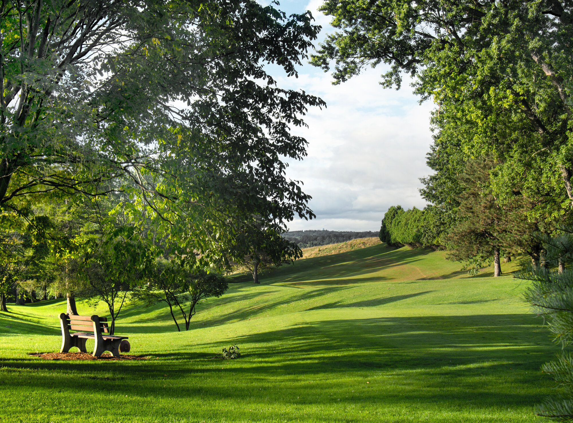 Park bench and small rolling hills in Burnet Park, leading down to the Western Lights neighborhood of Syracuse, New York on a beautiful summer morning