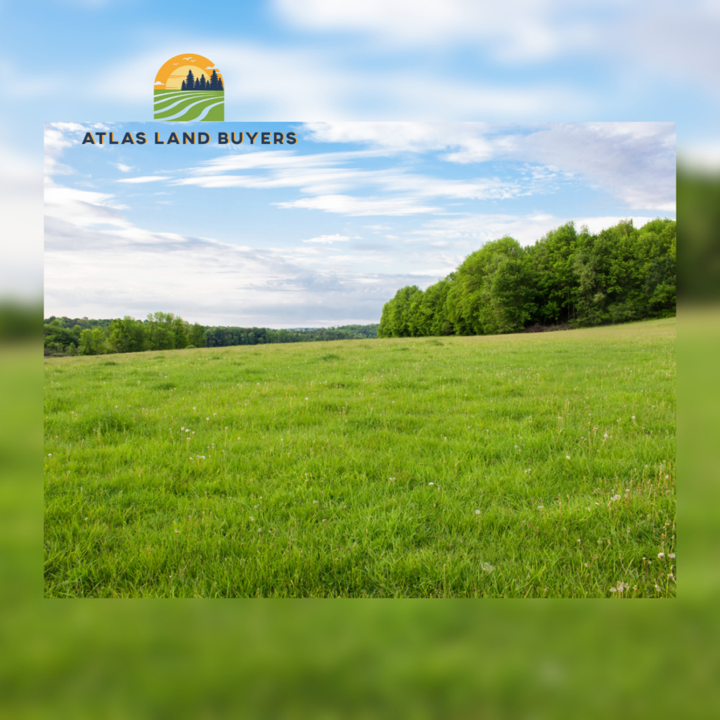 How To Sell My Land For Cash In Texas