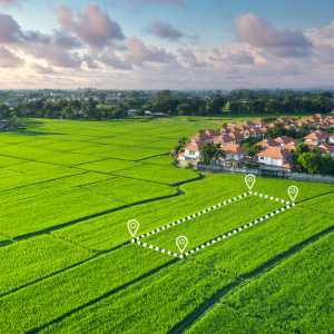 Can You Sell Inherited Land in Texas Probate Texas