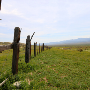 Steps to Sell Inherited Land Texas