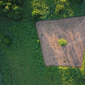 Agreement to Buy and Sell Vacant Land in Texas