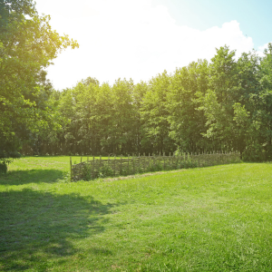How to Legally Sell Part of Your Land in Texas