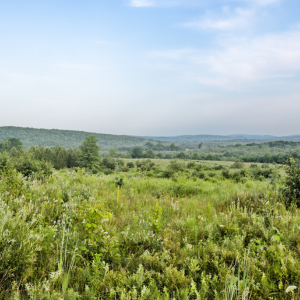 Purchase and Sale Agreement for Vacant Land in Texas