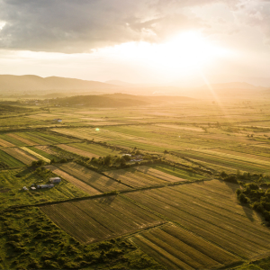 Tips for Selling a Portion of Your Land in Texas