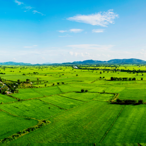 Vacant Land Buying and Selling Agreement in Texas
