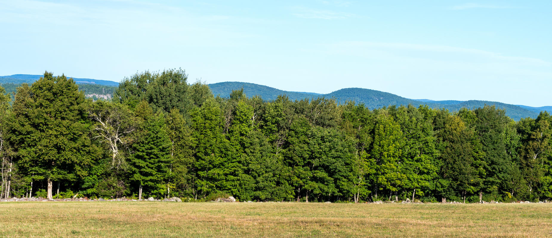 Vacant Land Purchase and Sale Agreement in Texas