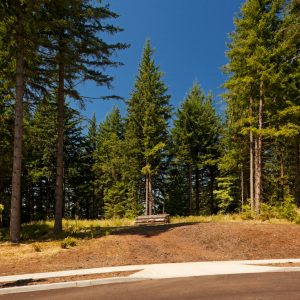 Vacant Land Sales Contract in Texas
