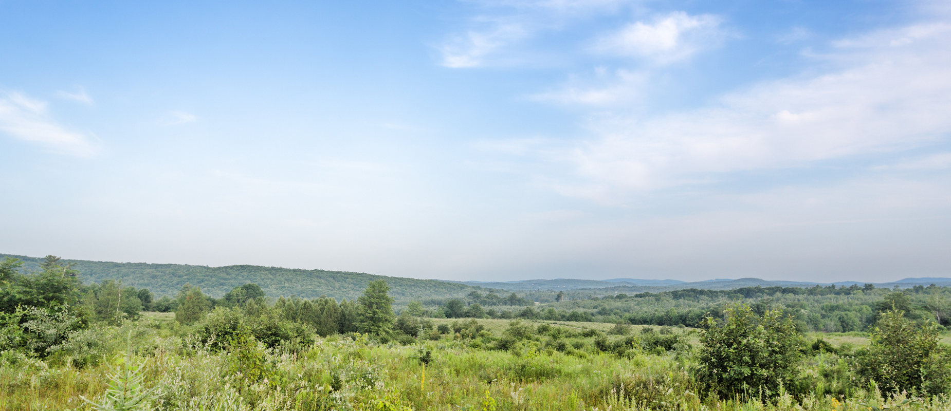 How To Prepare Vacant Land For Sale In Texas hero Dallas