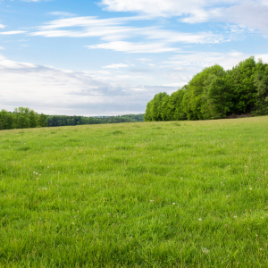 Sell Texas Land Without Address Dallas