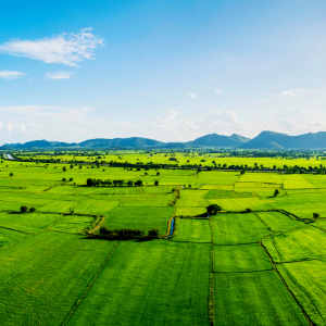 Selling Land in Texas_ Prep First Dallas