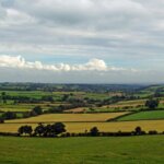 How to Maximize Profits When Selling Land at Auction in Texas