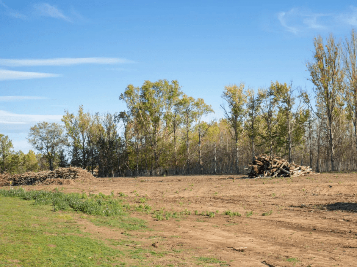 Cleared rural land for sale in Texas
