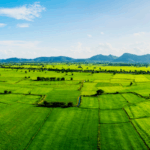 Guide to Selling Rural Land in Texas