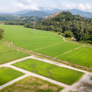 Steps to Successfully Sell Rural Property in Texas