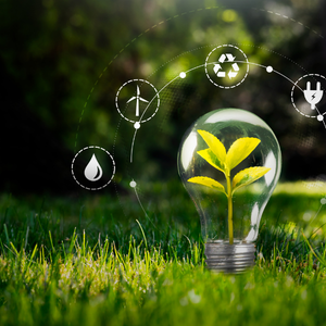 What Is the Cost to Subdivide Land in Texas