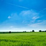 How To Transfer Land Title After A Sale in Dallas