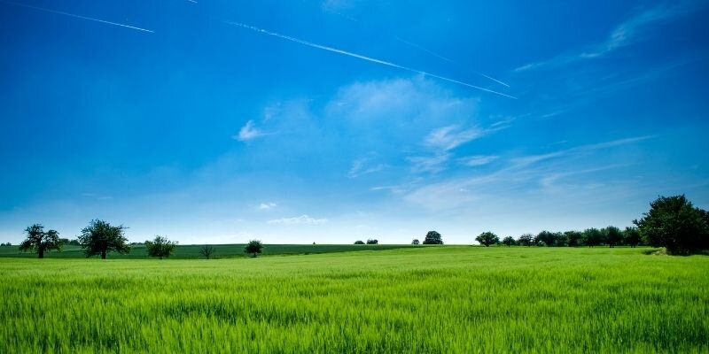 How To Transfer Land Title After A Sale in Dallas