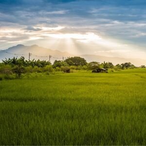 Are Property Taxes Required for Land Trusts