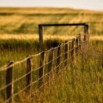 Do Land Trusts Owe Property Taxes