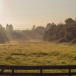 How Does a Land Deed Look