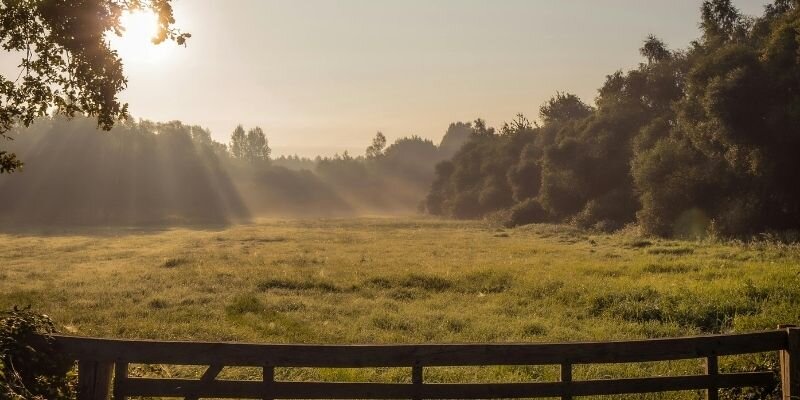 How Does a Land Deed Look