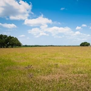 What Is the Appearance of a Land Deed