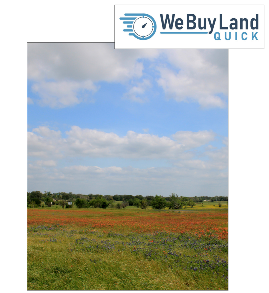 Cash Land Buyer In [market__city]