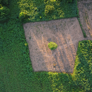 How to Get Vacant Land Ready for Sale In Texas