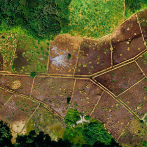 How to Sell Land by Owner Fast Cash In Texas