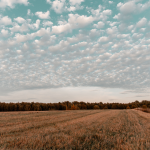 How to Sell Land by Owner Process In Texas