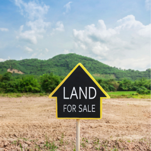 Preparing Vacant Land for Sale In Texas