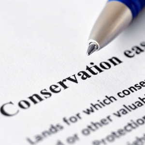 Mandatory Documents for Land Sale in Texas