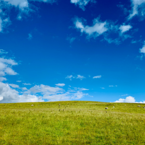 Ways to Sell Landlocked Property in Texas