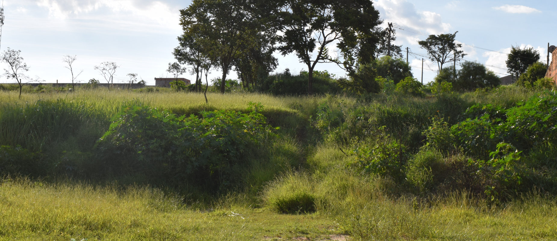 Can Buyers Finance the Purchase of Vacant Land in Texas 