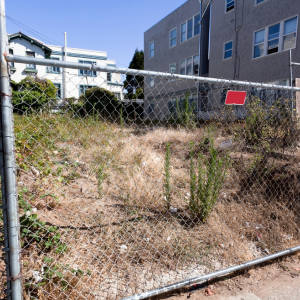 Can Buyers Get Financing for Vacant Land in Texas