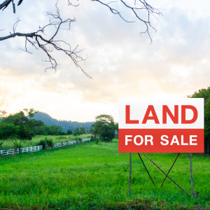 Can Buyers Take Out a Loan on Vacant Land in Texas