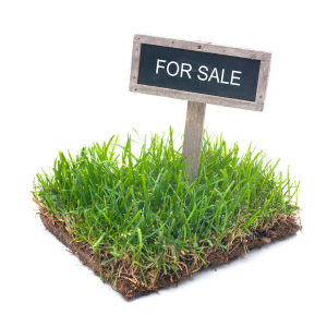 How to Transfer Land Without Hiring a Lawyer in United States