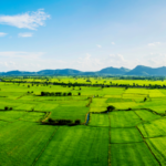 Selling Land Without a Lawyer in United States