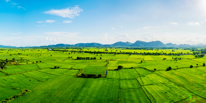 Selling Land Without a Lawyer in United States