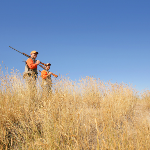 Selling Hunting Land in Texas