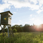 Tips for Selling Hunting Land in Texas