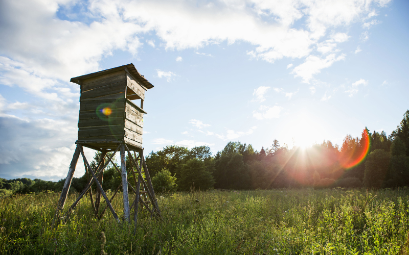 Tips for Selling Hunting Land in Texas