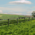 Understanding Land Disclosure Statements in Texas